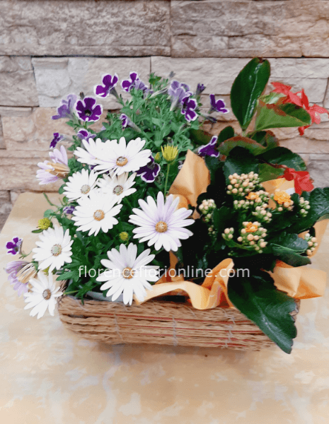 Fiorista consegna fiori e piante a domicilio a Gaeta. Acquisto e invio  online di fiori a Gaeta e Formia.