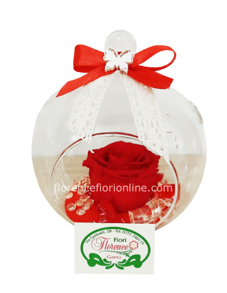 Rosa rossa stabilizzata