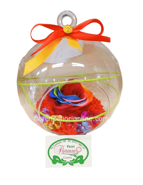 Rosa multicolore eterna