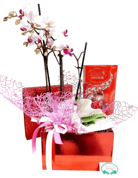 Box - Orchidea e Cioccolatini