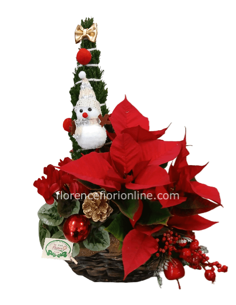 ✨Cesto Feste Natalizie
