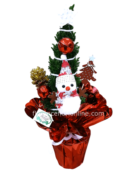 Abete Vero 50 cm per Natale